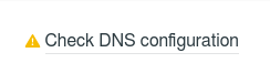 check dns configuration