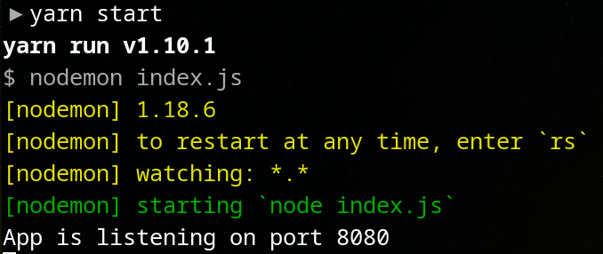 Nodemon terminal output